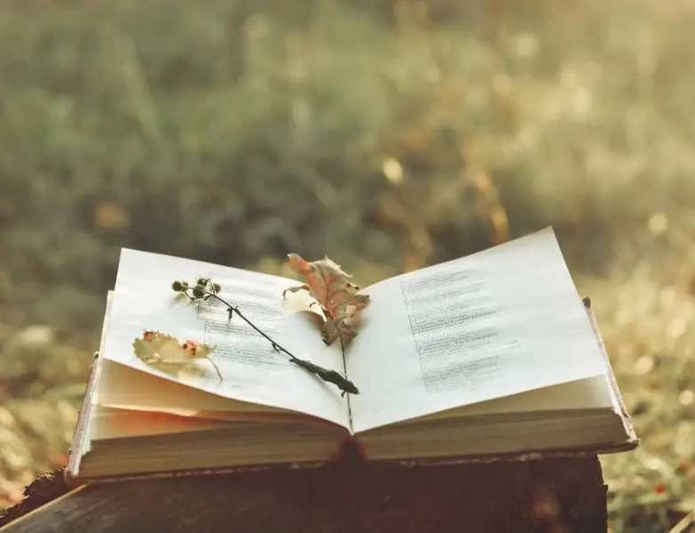 Finding the Words for the Journey